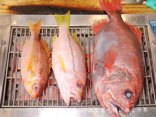 IMG_7250.JPG IMG_7250.JPG