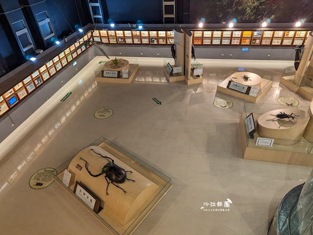 嘉義親子景點『新嘉大昆蟲館』全球唯一旋轉彩蝶柱、蝴蝶溫室花園 66 嘉義親子景點『新嘉大昆蟲館』全球唯一旋轉彩蝶柱、蝴蝶溫室花園