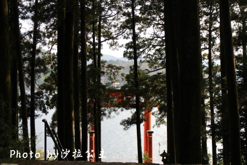 箱根神社