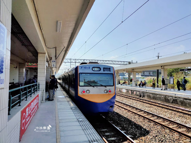 銅鑼杭菊搭火車也可以賞花!!交通指引 5 銅鑼杭菊搭火車也可以賞花!!交通指引