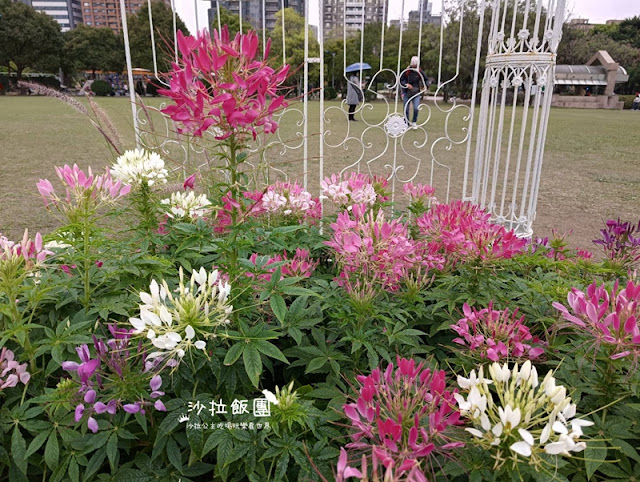 大安森林公園杜鵑花季、繡球花、鋼彈機器人 13 大安森林公園杜鵑花季、繡球花、鋼彈機器人