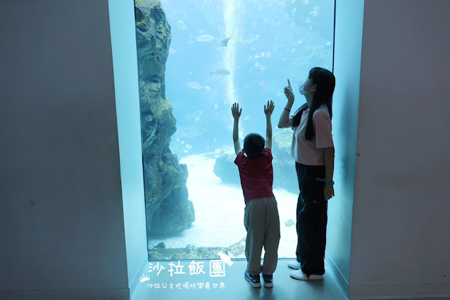 全台最頂級夜宿水族館!桃園和逸Blu Night宿海奇遇》Xpark住一晚 42 全台最頂級夜宿水族館!桃園和逸Blu Night宿海奇遇》Xpark住一晚