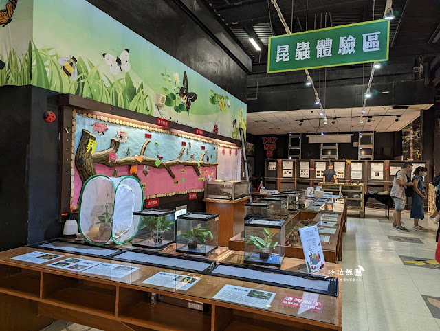 嘉義親子景點『新嘉大昆蟲館』全球唯一旋轉彩蝶柱、蝴蝶溫室花園 20 嘉義親子景點『新嘉大昆蟲館』全球唯一旋轉彩蝶柱、蝴蝶溫室花園
