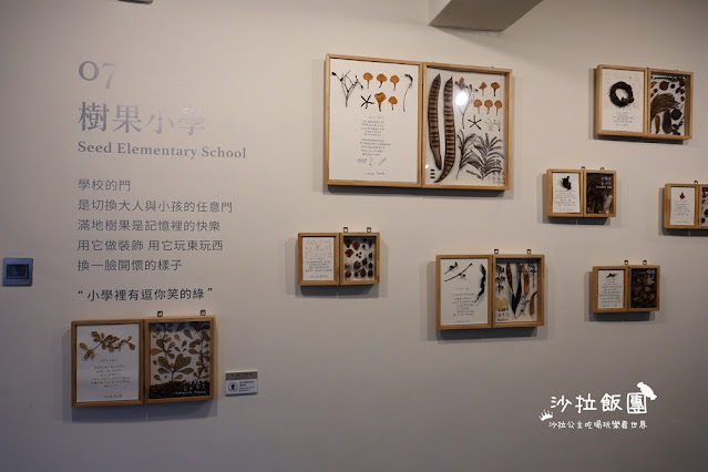 台中逢甲住宿.背包客『葉綠宿旅館』陪睡小盆栽 5 台中逢甲住宿.背包客『葉綠宿旅館』陪睡小盆栽