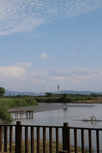 IMG_1160.jpg IMG_1160.jpg