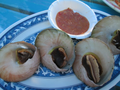 吉貝島美食-貝殼冰、海膽煎 12 吉貝島美食-貝殼冰、海膽煎