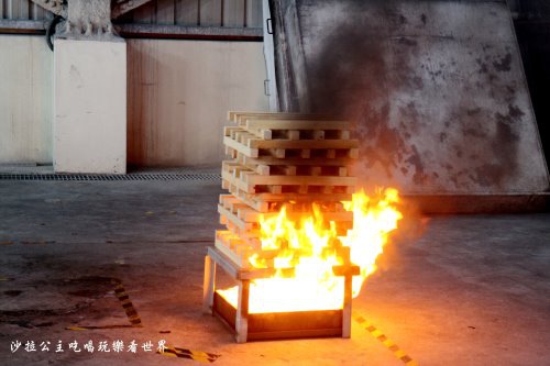 IMG_2925.JPG IMG_2925.JPG