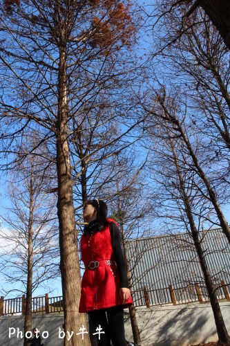 IMG_4588.jpg IMG_4588.jpg