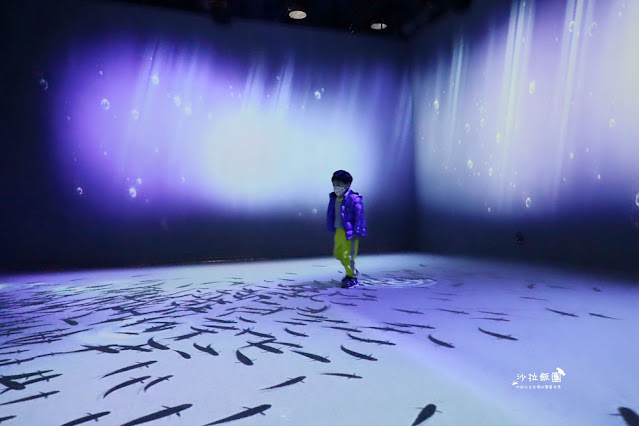 超震撼‼️最強展覽光之影海洋展體驗被海水包圍360°沉浸式光影藝術 13 超震撼‼️最強展覽光之影海洋展體驗被海水包圍360°沉浸式光影藝術