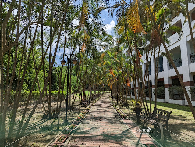 全台唯一冒險主題飯店『台南趣淘漫旅』攀岩、自由落體、空中漫步 115 全台唯一冒險主題飯店『台南趣淘漫旅』攀岩、自由落體、空中漫步