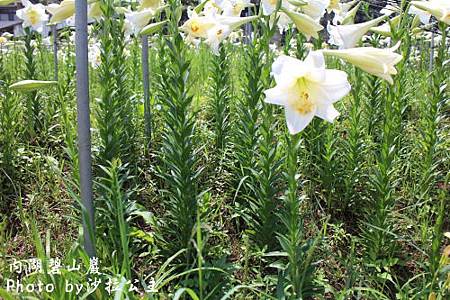 IMG_9483.jpg IMG_9483.jpg