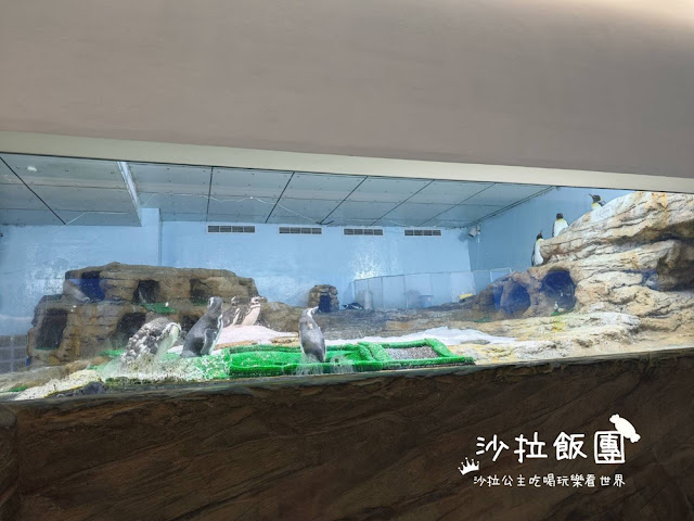 全台最頂級夜宿水族館!桃園和逸Blu Night宿海奇遇》Xpark住一晚 64 全台最頂級夜宿水族館!桃園和逸Blu Night宿海奇遇》Xpark住一晚