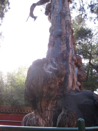 北京旅遊/北京景點『紫禁城』北京故宮 31 北京旅遊/北京景點『紫禁城』北京故宮