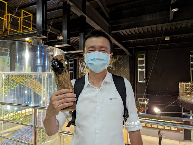 嘉義親子景點『新嘉大昆蟲館』全球唯一旋轉彩蝶柱、蝴蝶溫室花園 24 嘉義親子景點『新嘉大昆蟲館』全球唯一旋轉彩蝶柱、蝴蝶溫室花園