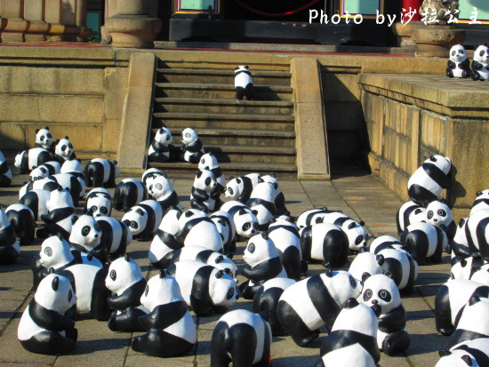 IMG_7357.jpg IMG_7357.jpg