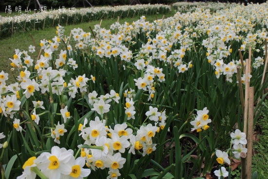 IMG_6570.JPG IMG_6570.JPG