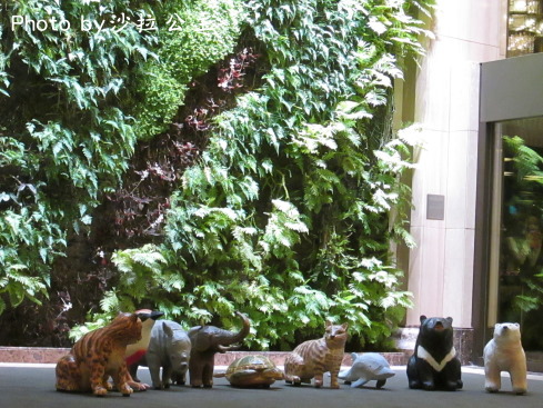 IMG_7513.jpg IMG_7513.jpg