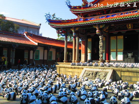 IMG_7356.jpg IMG_7356.jpg