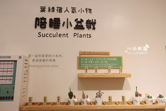 台中逢甲住宿.背包客『葉綠宿旅館』陪睡小盆栽 27 台中逢甲住宿.背包客『葉綠宿旅館』陪睡小盆栽