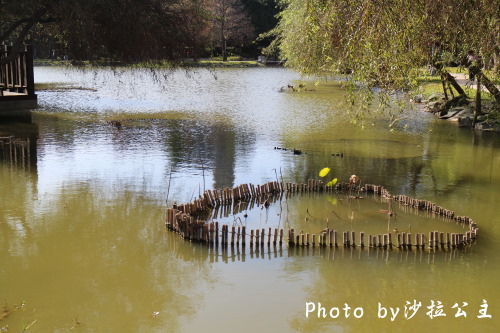 IMG_4550.jpg IMG_4550.jpg