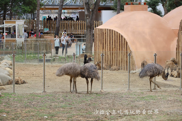 全台最老動物園『新竹動物園』全新打造沒有籠子友善動物園/新竹景點 20 全台最老動物園『新竹動物園』全新打造沒有籠子友善動物園/新竹景點