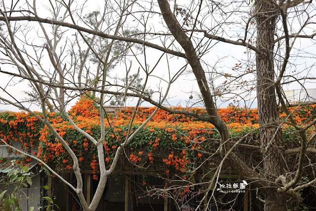 最新星空露營車『自然風情景觀渡假民宿』3000坪超大草坪小孩放電好地方 102 最新星空露營車『自然風情景觀渡假民宿』3000坪超大草坪小孩放電好地方