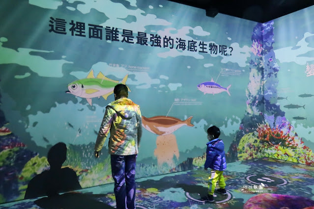 超震撼‼️最強展覽光之影海洋展體驗被海水包圍360°沉浸式光影藝術 15 超震撼‼️最強展覽光之影海洋展體驗被海水包圍360°沉浸式光影藝術