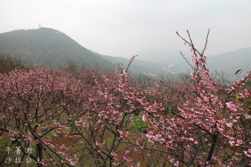 IMG_4028.JPG IMG_4028.JPG