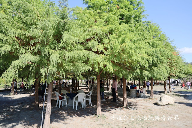 台中落羽松.后里泰安落羽松秘境『羽粼落羽松』裝置藝術像走到畫裡 27 台中落羽松.后里泰安落羽松秘境『羽粼落羽松』裝置藝術像走到畫裡