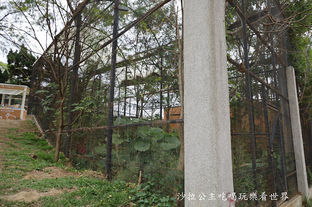 全台最老動物園『新竹動物園』全新打造沒有籠子友善動物園/新竹景點 48 全台最老動物園『新竹動物園』全新打造沒有籠子友善動物園/新竹景點