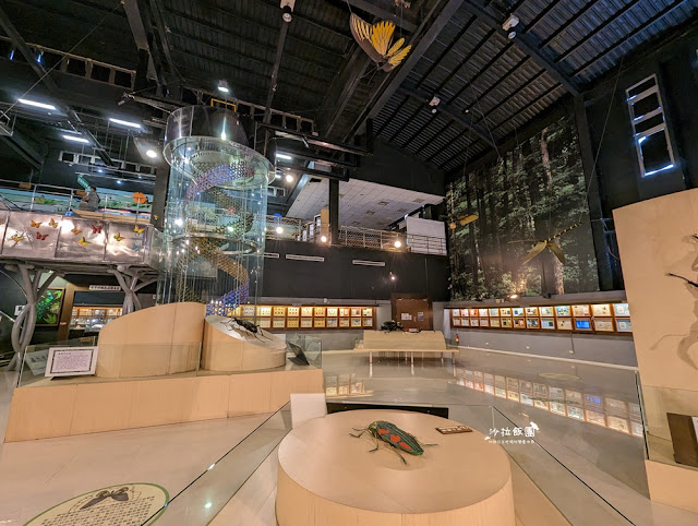 嘉義親子景點『新嘉大昆蟲館』全球唯一旋轉彩蝶柱、蝴蝶溫室花園 55 嘉義親子景點『新嘉大昆蟲館』全球唯一旋轉彩蝶柱、蝴蝶溫室花園