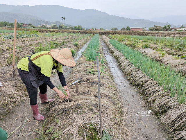 宜蘭親子景點『初咪體驗農場』拔三星蔥、、抓泥鰍、DIY創意蔥麵包體驗、沙坑 12 宜蘭親子景點『初咪體驗農場』拔三星蔥、、抓泥鰍、DIY創意蔥麵包體驗、沙坑