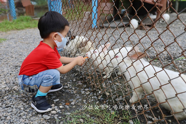宜蘭員山景點『可達羊場』免門票.百元就可以餵羊.兔子.鴨子.親子景點 24 宜蘭員山景點『可達羊場』免門票.百元就可以餵羊.兔子.鴨子.親子景點
