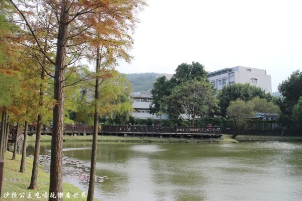 IMG_2762.JPG IMG_2762.JPG