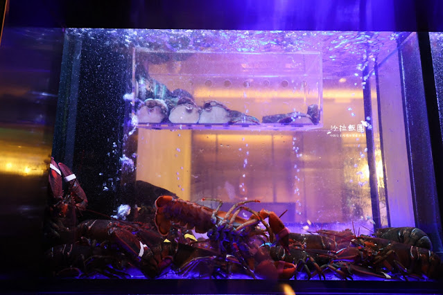 宜蘭礁溪美食『寒沐行館-岩彩海鮮餐廳』現流海鮮 5 宜蘭礁溪美食『寒沐行館-岩彩海鮮餐廳』現流海鮮