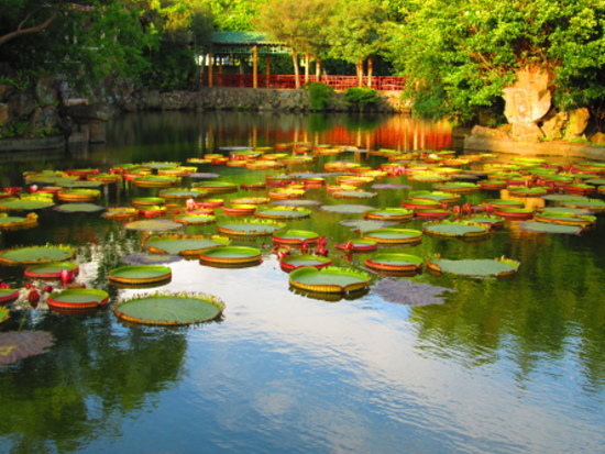 IMG_2730.jpg IMG_2730.jpg