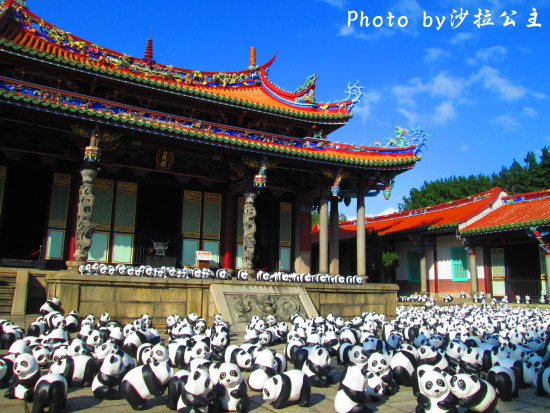 IMG_7348.jpg IMG_7348.jpg