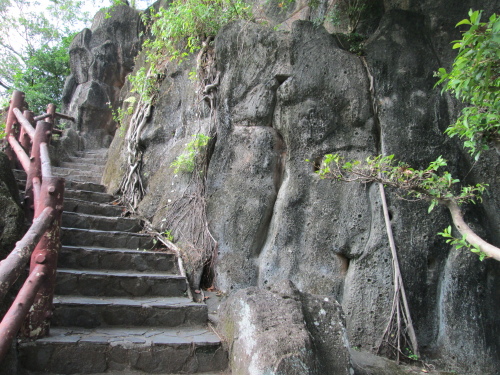 IMG_3145.jpg IMG_3145.jpg