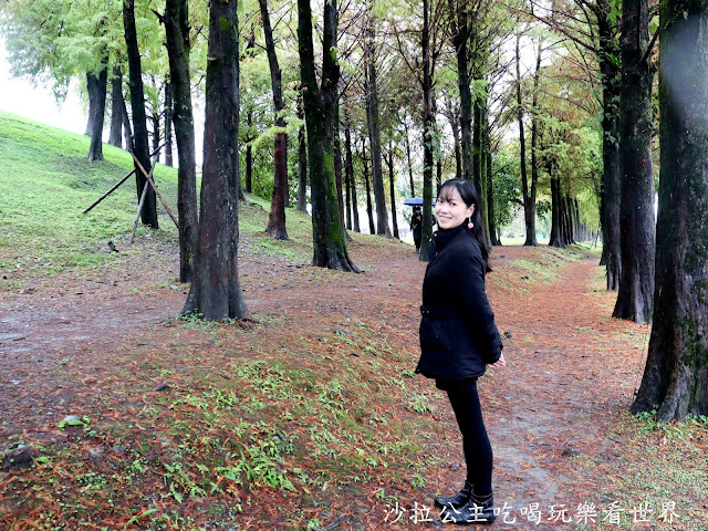 宜蘭羅東落羽松『羅東運動公園』冬季限定/宜蘭羅東景點 19 宜蘭羅東落羽松『羅東運動公園』冬季限定/宜蘭羅東景點