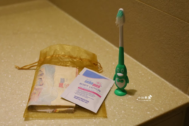 桃園親子渡假飯店『南方莊園渡假飯店』1500坪水療設施、室內遊戲室、6公頃綠地