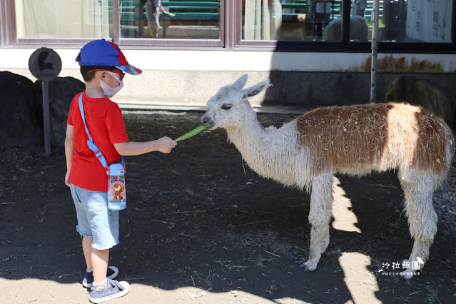 宜蘭住宿親子景點『綠舞國際觀光飯店』一泊二食住房 118 宜蘭住宿親子景點『綠舞國際觀光飯店』一泊二食住房