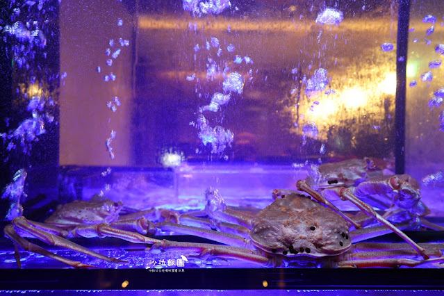 宜蘭礁溪美食『寒沐行館-岩彩海鮮餐廳』現流海鮮 4 宜蘭礁溪美食『寒沐行館-岩彩海鮮餐廳』現流海鮮