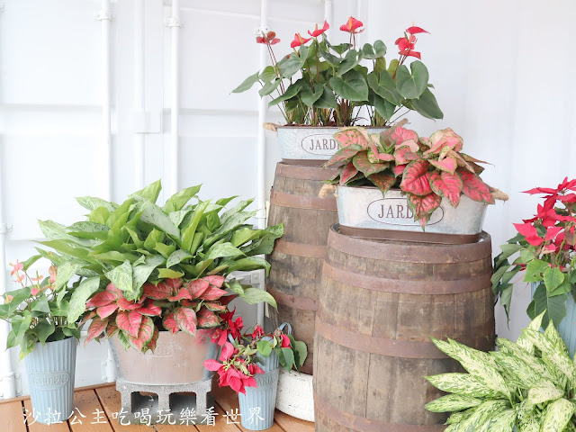 宜蘭貨櫃屋咖啡『HoWine&Cafe』宜蘭礁溪龍潭湖旁/76個貨櫃屋媲美花蓮星巴克 12 宜蘭貨櫃屋咖啡『HoWine&Cafe』宜蘭礁溪龍潭湖旁/76個貨櫃屋媲美花蓮星巴克