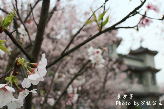 IMG_7044.jpg IMG_7044.jpg