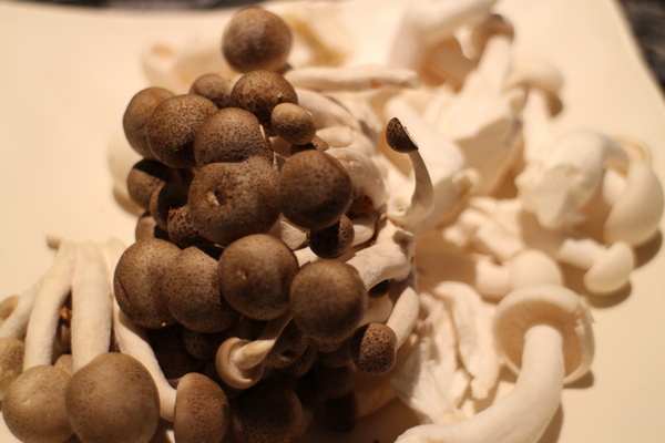 辛殿麻辣鍋:辛殿麻辣鍋吃到飽【捷運松江南京站】 辛殿麻辣鍋:辛殿麻辣鍋吃到飽【捷運松江南京站】