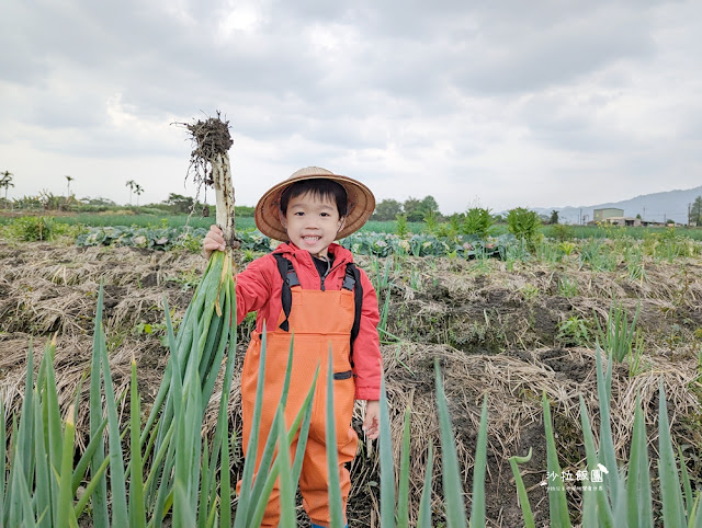 宜蘭親子景點『初咪體驗農場』拔三星蔥、、抓泥鰍、DIY創意蔥麵包體驗、沙坑 16 宜蘭親子景點『初咪體驗農場』拔三星蔥、、抓泥鰍、DIY創意蔥麵包體驗、沙坑