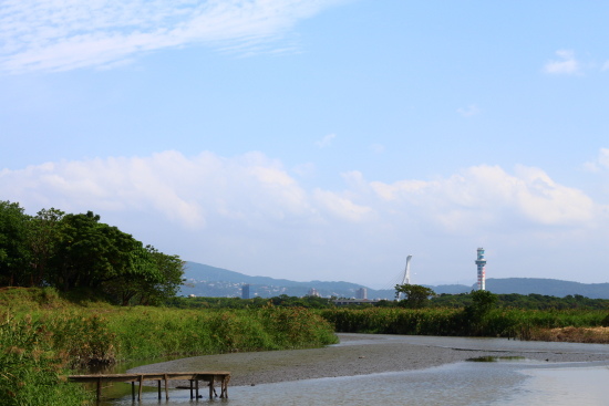 IMG_1165.jpg IMG_1165.jpg