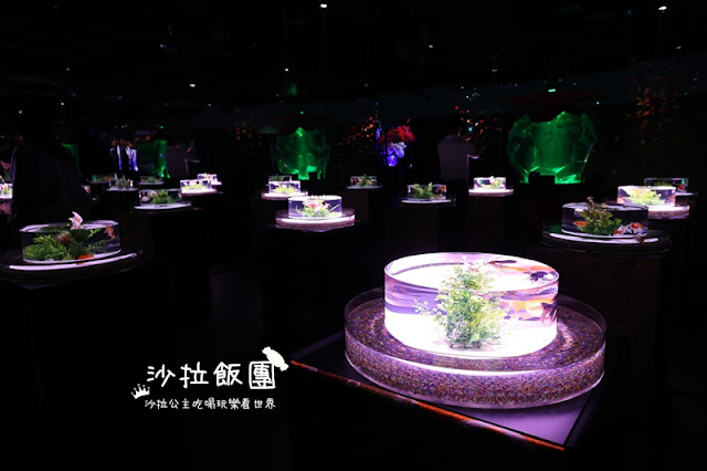 日本東京人氣展覽『金魚藝術展』璀璨登台 24 日本東京人氣展覽『金魚藝術展』璀璨登台