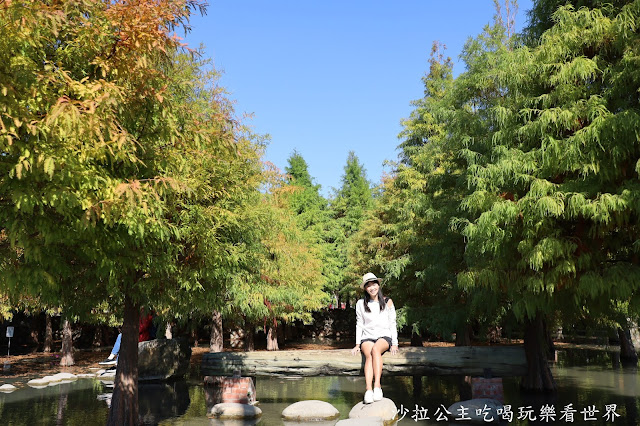 台中落羽松.后里泰安落羽松秘境『羽粼落羽松』裝置藝術像走到畫裡 17 台中落羽松.后里泰安落羽松秘境『羽粼落羽松』裝置藝術像走到畫裡