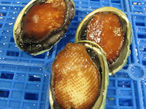 逛魚市之上引水產【三井餐飲集團】 9 逛魚市之上引水產【三井餐飲集團】